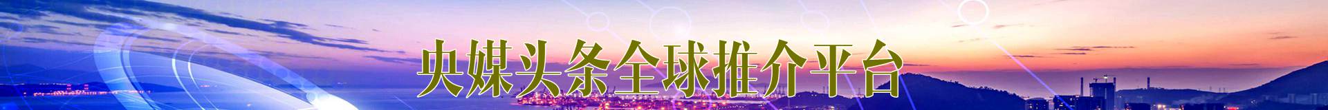 中国书画家数据库