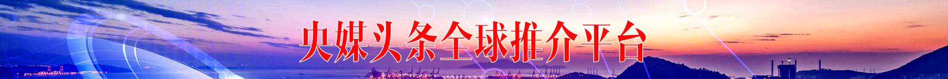 天机排行榜
