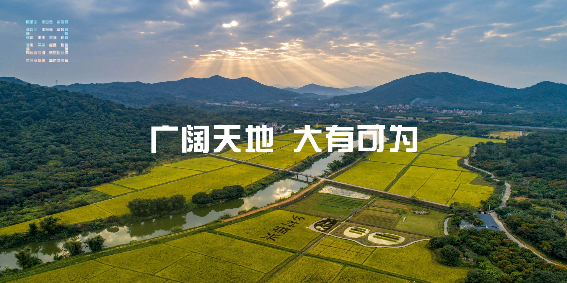 央媒头条