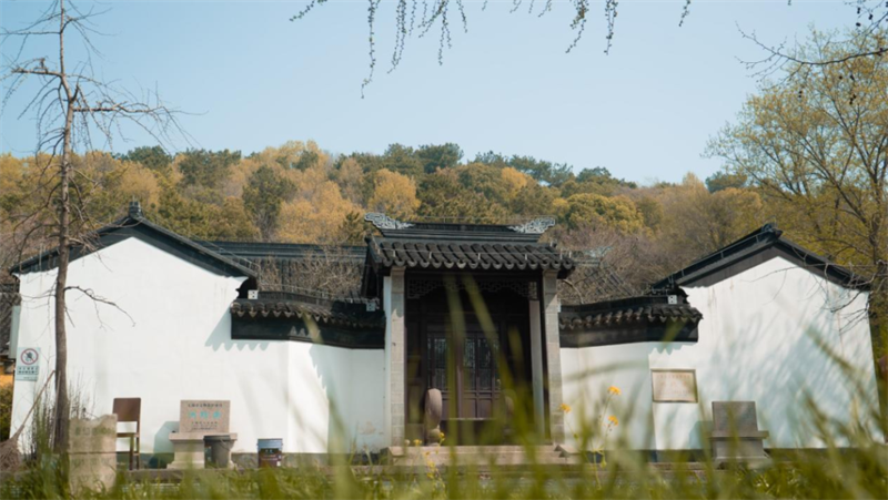 五大洲华裔齐聚太湖湾区,访大美鸿山!品吴韵风华! | “亲情中华•云游湖湾”无锡滨湖特色营系列报道之六