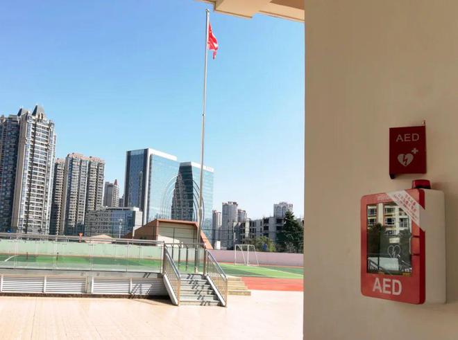 履职在路上:开学第一课,这个学校的学生在学习救命的技能