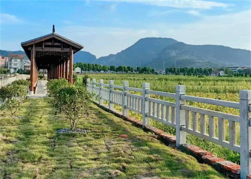记得住乡愁 留得住乡情——武穴市大法寺镇东畈村倾心打造和美乡村纪实